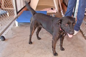 Picture of Lexie