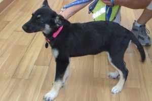 Picture of Lucinda