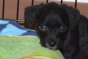 Picture of Lucy Mae