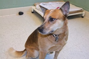 Picture of Mia