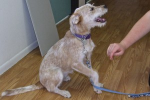 Picture of Sammi