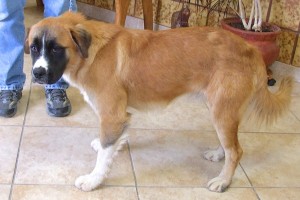 Picture of Titan