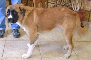 Picture of Titan