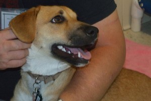Picture of Reggie