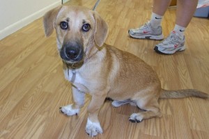 Picture of Reggie
