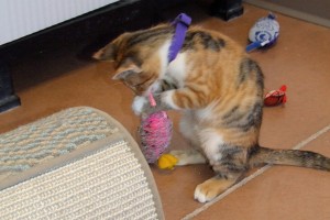 Picture of Annie
