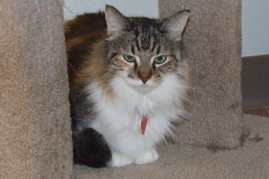 Picture of Bridget