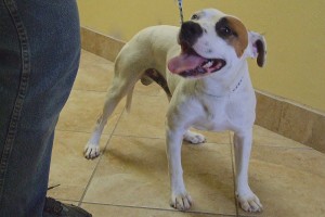 Picture of Buster Boy