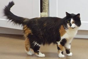 Picture of Chloe