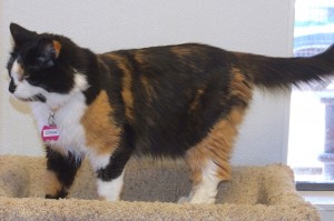 Picture of Chloe