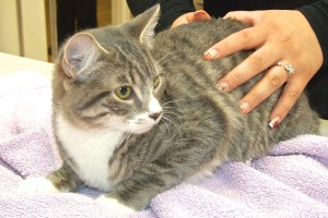 Picture of Muneco