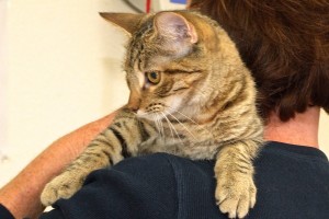 Picture of Quincy