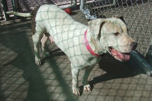 Picture of Winnie