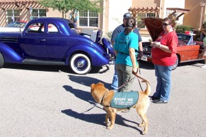 Picture of 2014 Hot Rods & Hot Dogs Car Show