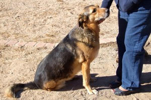 Picture of Lola A