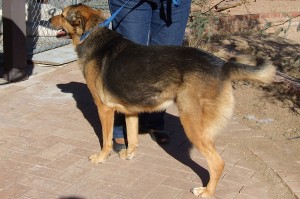 Picture of Lola A