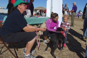 Picture of 2014 Sahuarita Pecan Festival