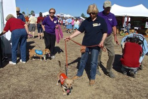 Picture of 2014 Sahuarita Pecan Festival