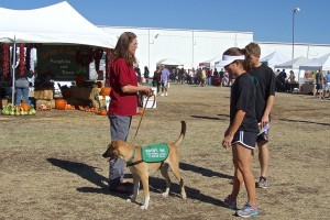 Picture of 2014 Sahuarita Pecan Festival