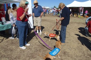 Picture of 2014 Sahuarita Pecan Festival