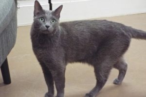 Picture of Pocket
