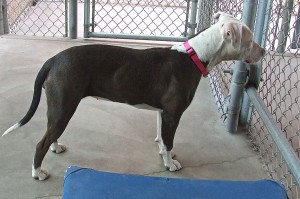 Picture of Chloe