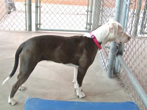 Picture of Chloe