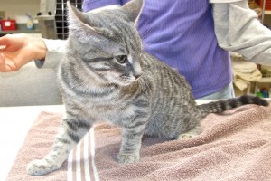 Picture of Ella