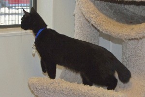 Picture of Jenny