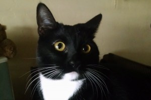 Picture of Matilda