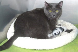 Picture of Storm