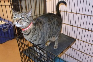 Picture of Cindy