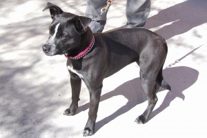 Picture of LaLa