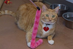 Picture of Marly