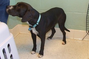 Picture of Ruthie