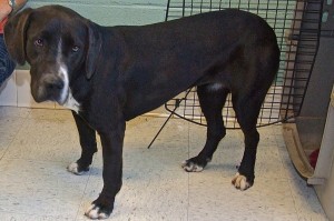 Picture of Ruthie