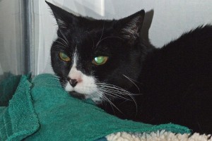 Picture of Amie