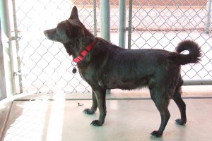 Picture of Blanca