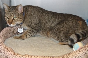 Picture of Penelope