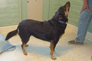 Picture of Timara