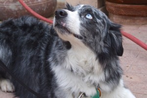 Picture of Trip
