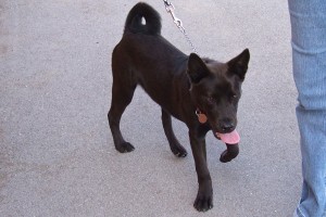 Picture of Wally