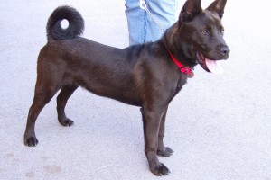 Picture of Wally