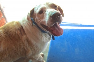 Picture of Bernard