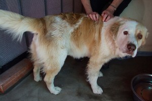 Picture of Bernard