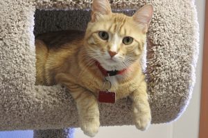 Picture of Leonard