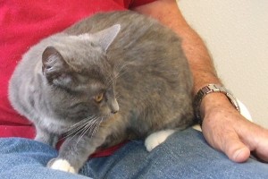 Picture of Lila