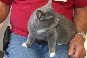 Picture of Lila