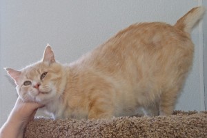 Picture of Oddie