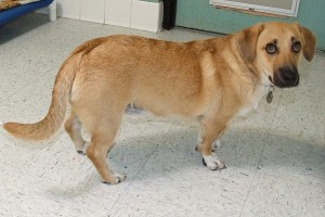 Picture of Reggie